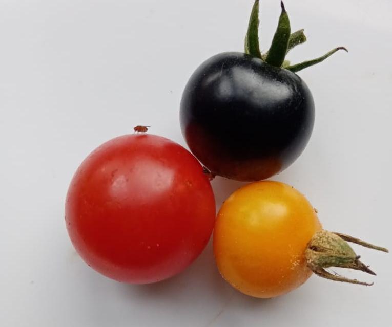 3 Bedroom Property for Sale in Oudtshoorn Rural Western Cape